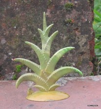 STARLUX DECORS VEGETAUX