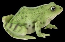 Vert Grenouille Figurine Décorative – Jardin & Étang - Animal - de – 15cm