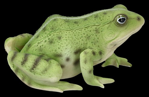 Vert grenouille figurine - grenouille,