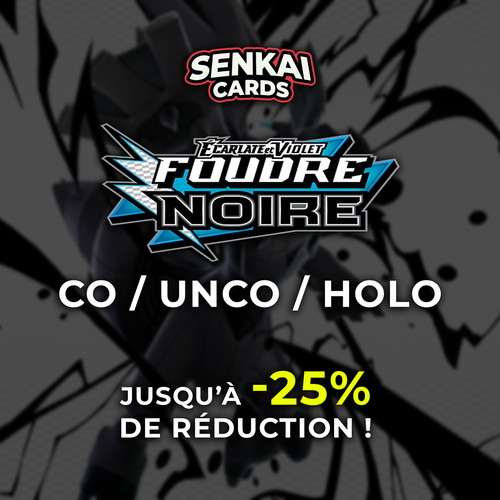 Pokémon foudre noire fr - -,