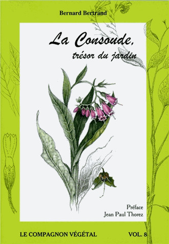 Consoude trésor du - la, jardin
