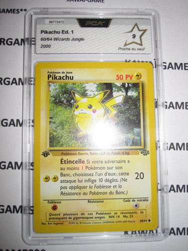 Pokemon pikachu jungle - 60/64,