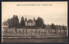 CPA La Motte-Servolex /Savoie, Château de Pingon et vignobles adjacents 