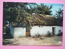 CPA PHOTO Maison toit de chaume Bourrine vendée Monts