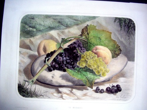 Lithographie originale - , en