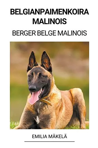 Belgianpaimenkoira malinois - belgianpaimenkoira,