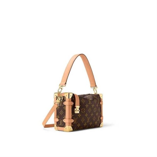Louis vuitton trunk - louis,
