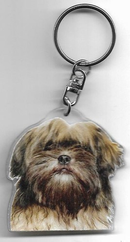 Lhassa apso chien porte - chien, cles