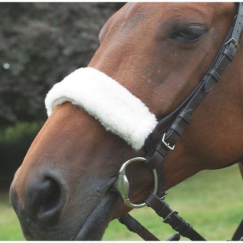 Shires fourreau de muserolle - fourreau,