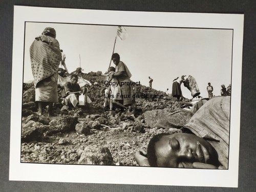 Camp réfugiés goma zaire - réfugiés,