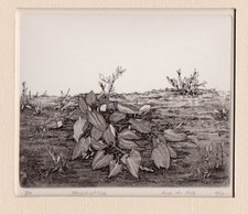 Gravure "Mauvaises herbes" Rijk den Held graphiste néerlandais 1977  