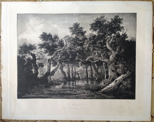 Gravure ancienne marais - gravure,