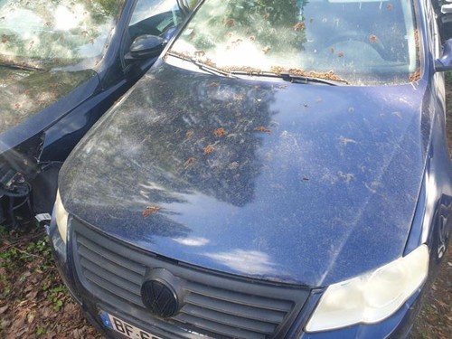 Capot volkswagen passat - capot,