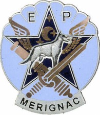 AIR / ESCADRON DE PROTECTION MERIGNAC COMMANDO DE L'AIR - chien - SANS FAB