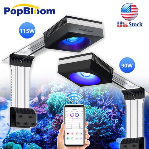 Popbloom rl90 rl115 led - popbloom,