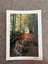 CPM SOUS BOIS PRÈS DE SAINT