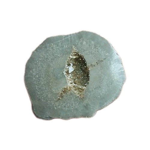 Septaria baryte scié poli - septaria,
