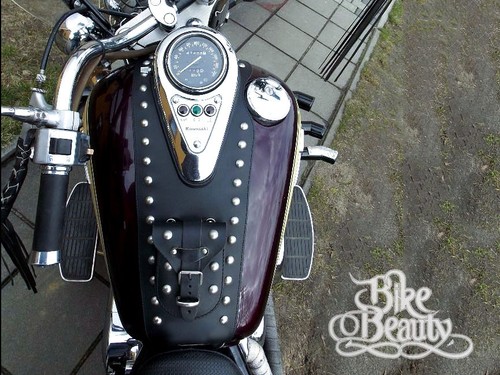 Kawasaki vulcan 800 500 - vn,
