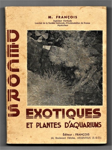 Décors exotiques plantes - décors, et