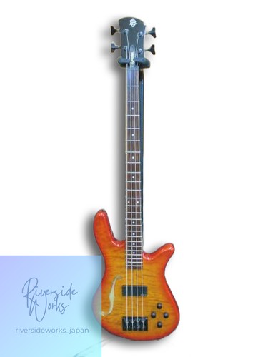 Spector hollow body bass core - spector,