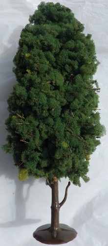 Arbre vert foncé de 13 - -,