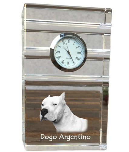 Dogue argentin trois - dogue,