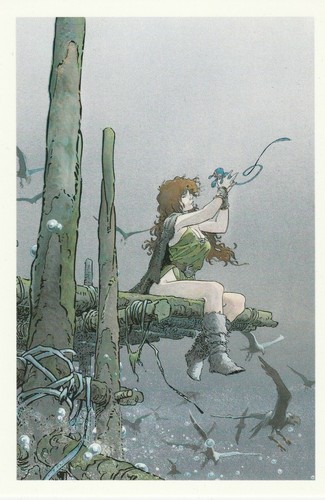 Loisel carte postale pelisse - carte,
