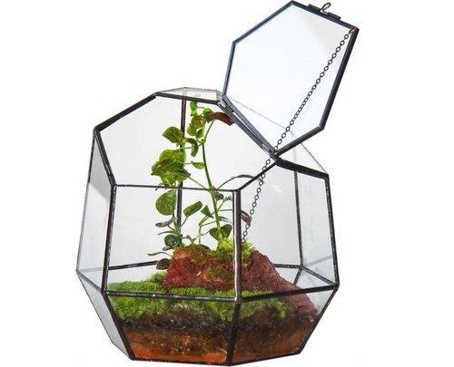 Geometric terrarium with door - terrarium,