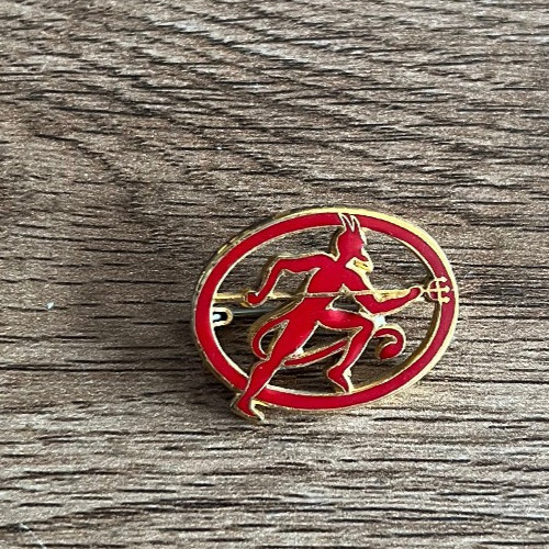 Insigne militaire n499 - insigne,