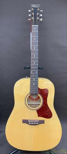 Guitare acoustique électrique