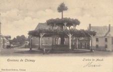 MACON ENVIRONS DE CHIMAY L ARBRE REMARQUABLE