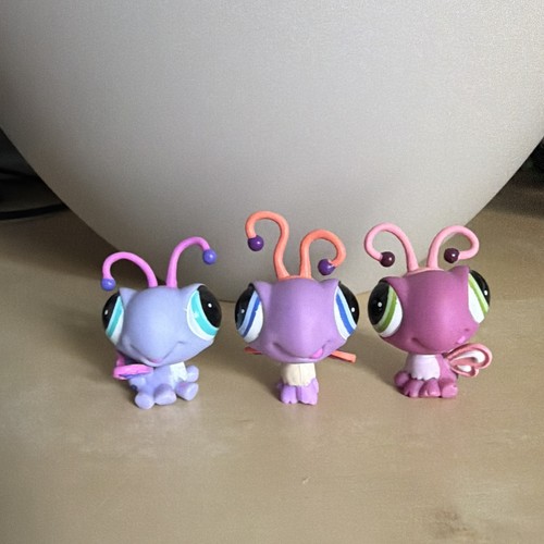 Hasbro lps petshop - petshop,