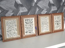 Zoologie - Ornithologie -