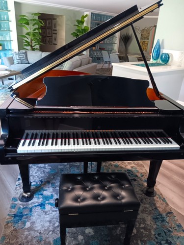 Young chang 185 pramberger - chang,
