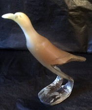 Oiseau Malgache en corne de
