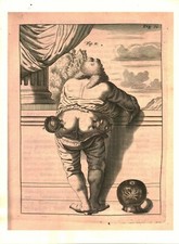 Cabinet de curiosité planche