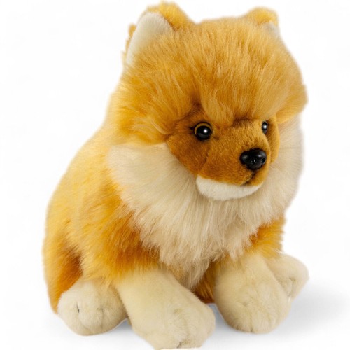 Carl dick chien poméranie - carl,
