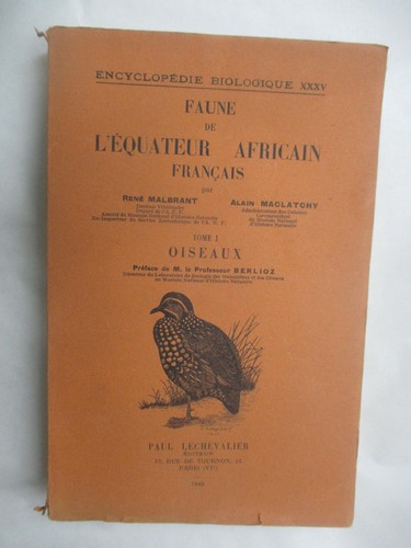 Malbrant faune l equateur - malbrant, l'equateur