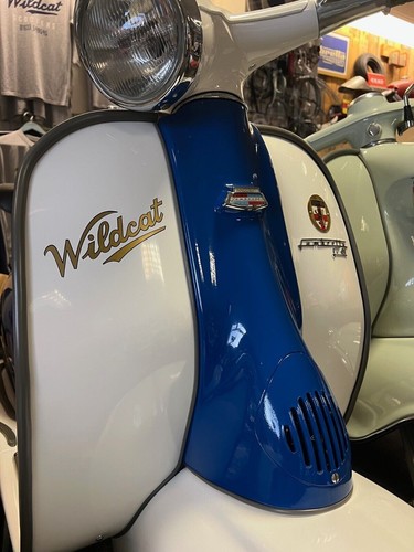 Wildcat 1960s sticker new