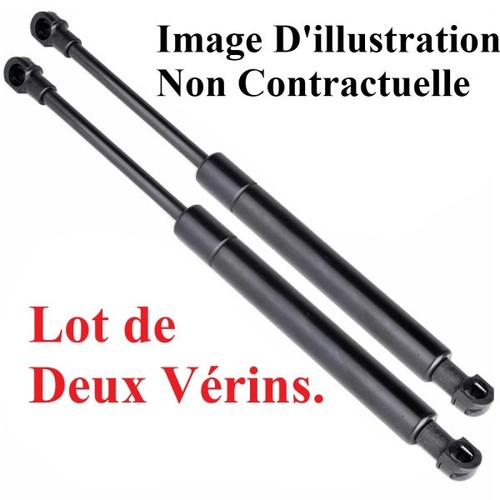 Lot deux vérins de - lot,