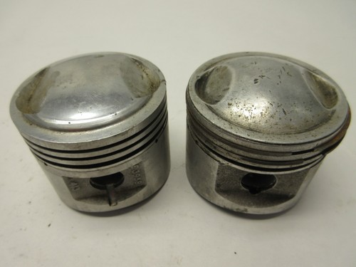 Pistons triumph t20 tiger - t20,