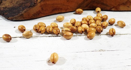 Perles ovales bois d'olivier