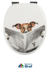 Siège Wc / / Abattant