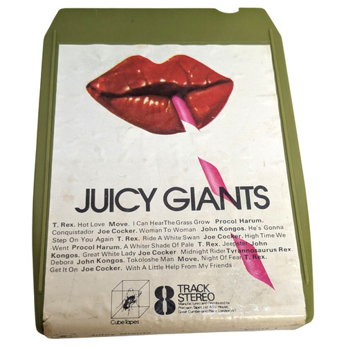 Rebuilt juicy giants pistes - juicy,
