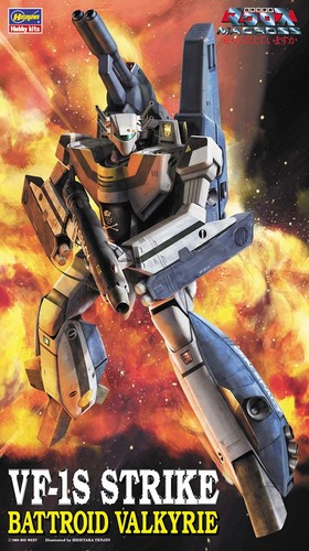 Hasegawa macross m14 - m14, vf-1s