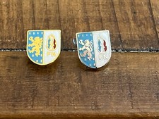 2 PINS PIN POLITIQUE POLITIC FN FRONT NATIONAL LE PEN FRANCHE COMTE  DORE ARGENT