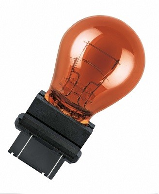 Ampoule p27 standard 10 - standard, (10