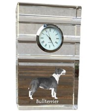 Bull Terrier,Bullterrier -