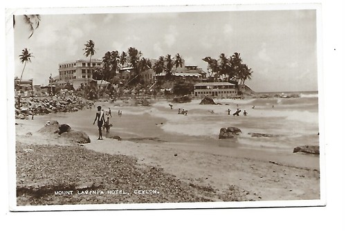 Sri lanka ceylan mount - sri,