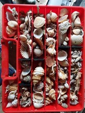 Lot environ plus de 200